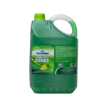 Desinfetante 5L Citrus | Quimiprol