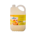 DETERGENTE PARA MAOS DOVAR 5L
